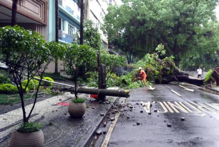 Queda de árvore na Rua Visconde de Albuquerque, na Gávea - Divulgação / COR